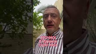 СРОЧНО! Лесные пожары в Израиле