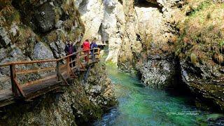 The Most Beautiful Landscape of Slovenia 2022 - Vintgar Gorge - episode 6