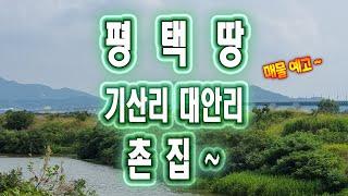 평택땅 기산리 대안리 지역 안내와 촌집 매물 예고_발로 뛰는 평택 금두꺼비