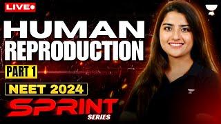 Human Reproduction Part 1 | NEET 2024 Sprint Series | Seep Pahuja
