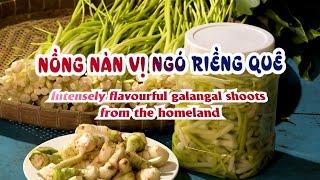 Ký ức miền quê | Nồng nàn vị ngó riềng quê - Phụ đề Tiếng Anh | THKG