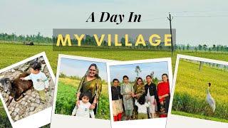 A Day In My Village | Indian Village Culture |Chandni In Europe