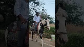 visakhapatnam Kailasagiri Hill tour