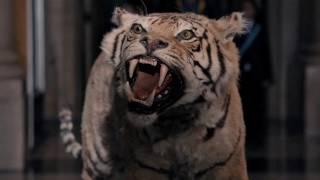 Twatty New Who Review- In the Forest of the Night