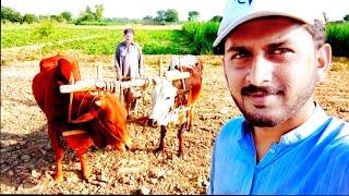 Old Style Bull k Sath ( Plough ) Hll Chlaty Howy On Hadi mian Tv|| Village Life 2020