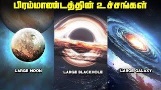 விதியை மீறும் பிரமாண்டங்கள் - Biggest Things in Universe