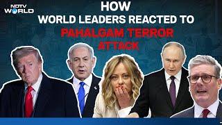 Pahalgam Attack | Putin, Trump, Meloni Condem Kashmir Attack, Here's How World Leaders Reacted