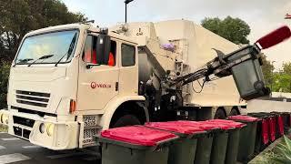 Botany Garbage Truck Vs. 100 Bins