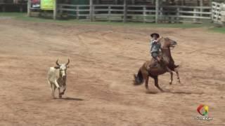 23º Rodeio Internacional do Conesul - Potraço