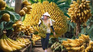 Harvesting Bananas & Selling at Market | How to Make Fried Banana Crispy | Countryside Girl’s Life