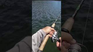 Smallmouth PB - #2 of 2024