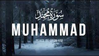 Surah Muhammad (47) / Abdallah Humeid