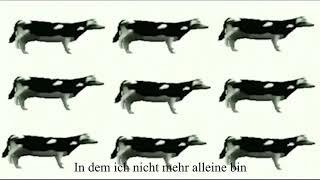 Dancing Polish Cow at 4 Am Deutsch/German