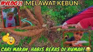 EP21: RYZA CARI SINGKONG DI KEBUN | HABIS BERAS GUYS 