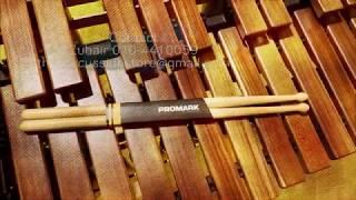 Promark: Concert One Drum Sticks Demo Review Details