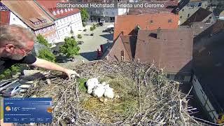 2024 05 12 Storchennest Höchstadt, Rettungsaktion vom Winzling und gleich Müllentsorgung, Danke FW