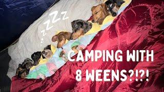 I WENT CAMPING WITH 8 WEENS?!?!?
