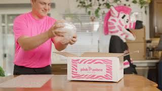 Pink Zebra Moving: The Art of Moving Commercial