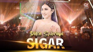 SIGAR - DIKE SABRINA | Meleko Sayang Aku Seng Berjuang | Official Orchestra Live Music