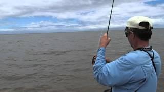 Ed Wiles fighting his largest Bonefish to date