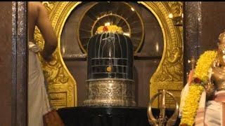 Ekambareswara Swamy abhishekam / Bangalore temple / swami rupam