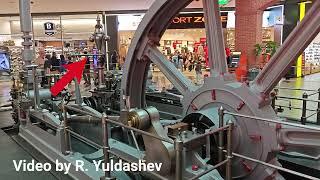Watt governor examples: UK, Australia, Portugal