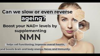 NMN Anti Age- Can we slow or reverse aging?