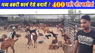 बकरी फार्म कैसे बनाएं? 400 बकरे और बकरिया‌ं। Brsd Goat Farm Ajmer Rajasthan । 400  Goat available।