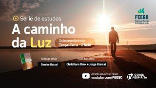 04) A caminho da luz 04 - cap. 2 - A Vida Organizada - Jorge Elarrat e Christiane Drux