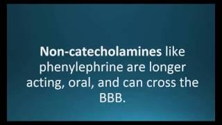 non-catecholamines  (Pharmcabulary for Memorizing Pharmacology Chapter 5 Neuro Flashcard)