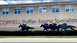 Overview of Cornell Ruffian Equine Specialists
