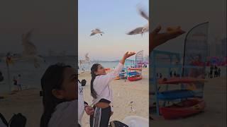 ##dubai #hindisong #viralvideo #uae #love #gulzar #vlogs