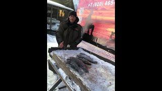 Учимся ловить форель в Юсупово .Рыбы море