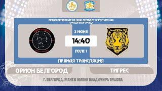 Летний Чемпионат по мини-футболу 8x8 города Белгорода . «Орион Белгород» - «Тигрес»