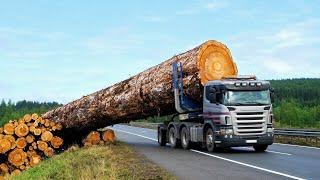 Dangerous Fastest Logging Truck Driving Skills | Biggest Heavy Wood Truck Machines Working