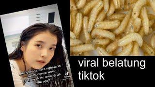 BELATUNG VIRAL DI TIKTOK FULL VIDEO