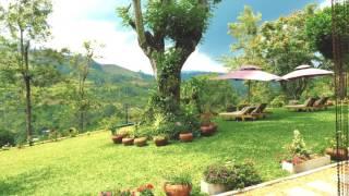 Sri Lankan Luxury Boutique Hotels - Ceylon Tea Bungalows