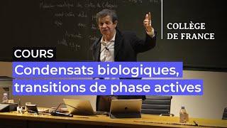 Condensats biologiques, transitions de phase actives (3) - Jean-François Joanny (2022-2023)