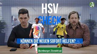 HSV: Sind die Neuzugänge Sofortverstärkungen? Und kann Selke schon in Münster spielen?