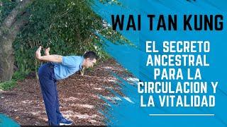 Secretos del Chi Kung: Impulsa tu Vitalidad y Circulación (Wai Tan Kung) 