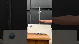 Simple Pendulum