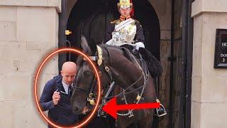 King's Horse Reacts When This Man Grabs The Horse's Bridle!