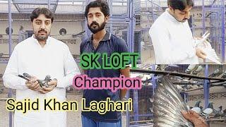 Racer Pigeon SK Loft visit  Champion pigeons Review 504 GPS