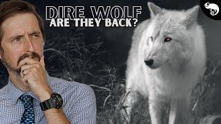 Evolutionary Biologist Reacts to Dire Wolf De-Extinction