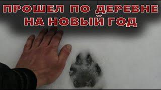 А что с волками?