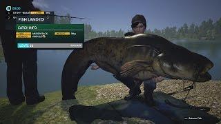 Dovetail Games Fishing Monster Catfish 42kg