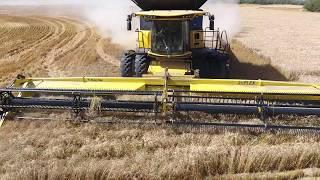 Wheat harvest 2016. Canada. MY AGRO #MYAGROTOURS