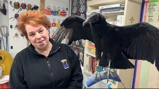 Learn About Raven Ridge Wildlife Center