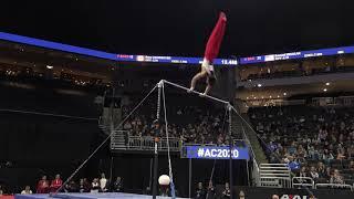 Daiki Hashimoto (JPN) - High Bar - 2020 American Cup