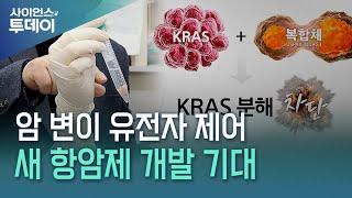 골칫거리 발암 유전자 KRAS 분해 기전 규명...새 항암제 개발 기대 / YTN 사이언스